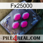 Fx25000 02